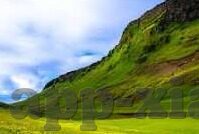 大象视频下载app免费版-探索大象视频下载app免费版，便捷与乐趣的完美结合