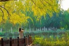 糖心vlog视频在线免费观看-品味生活日常，糖心Vlog视频的在线免费观看之乐